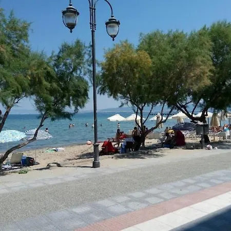 My Greko * Neoi Epivatai